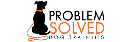 Problem Solved Training logo